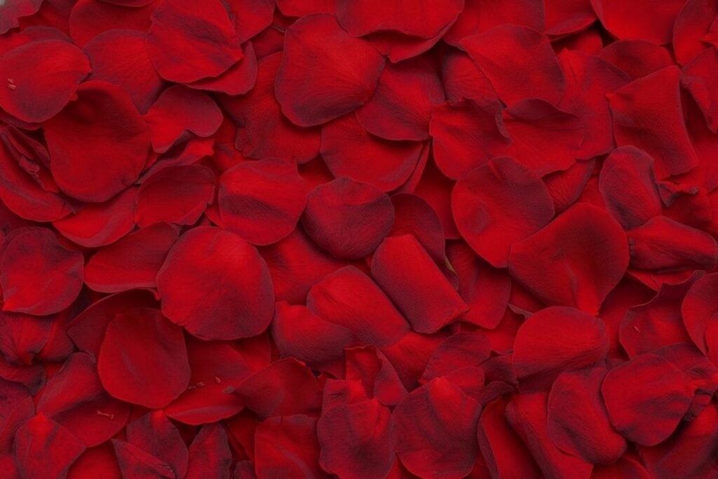 Artificial Silk Rose Petals Scented or Non Scented — Bath Body Beyond product photograph