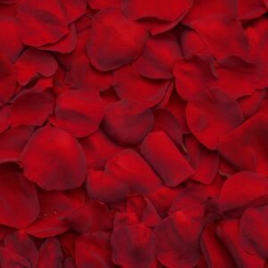 Artificial Silk Rose Petals Scented or Non Scented — Bath Body Beyond product photograph